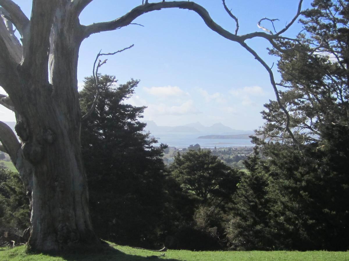 Hyecroft Lodge Whangarei Εξωτερικό φωτογραφία