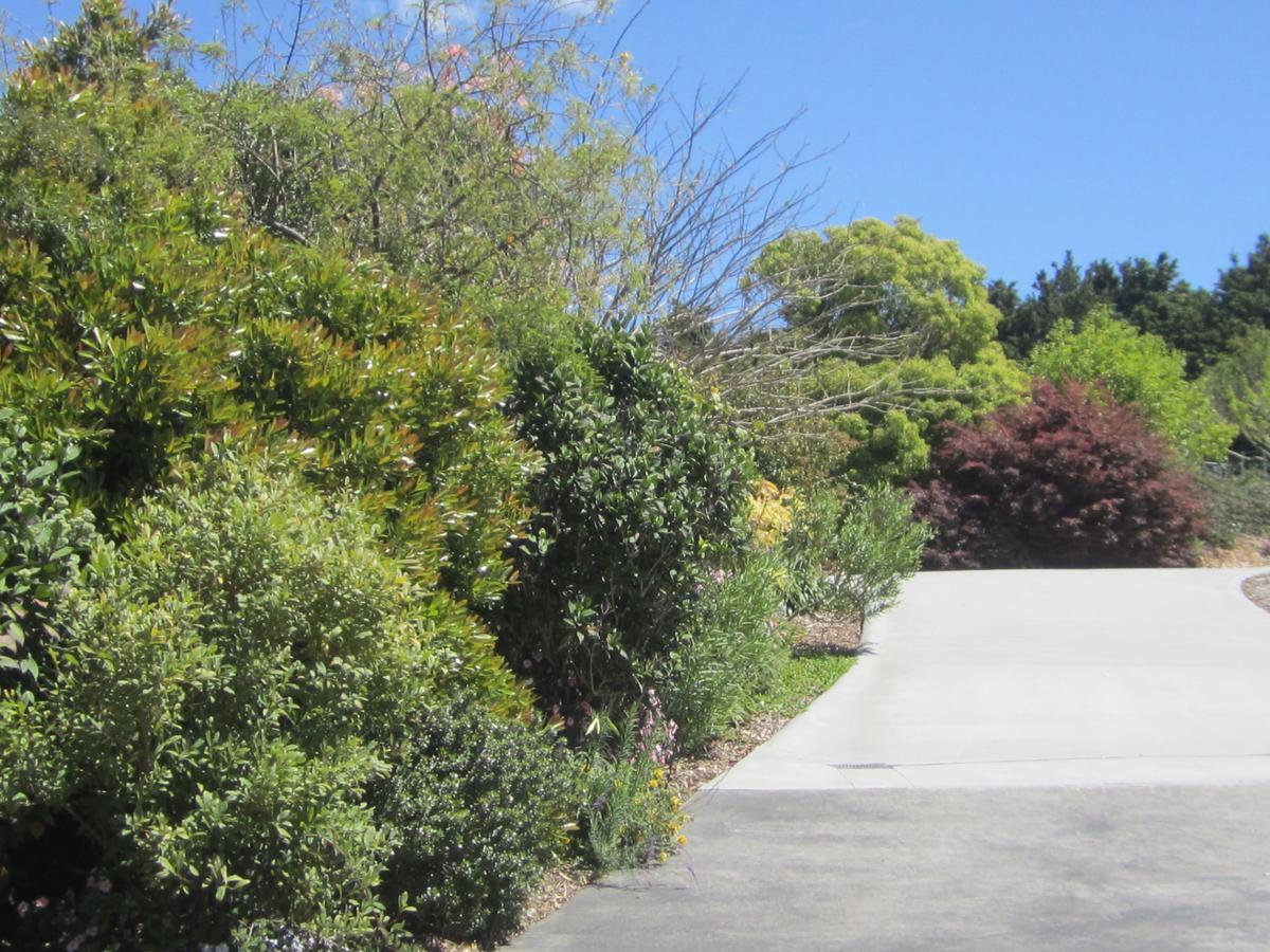 Hyecroft Lodge Whangarei Εξωτερικό φωτογραφία